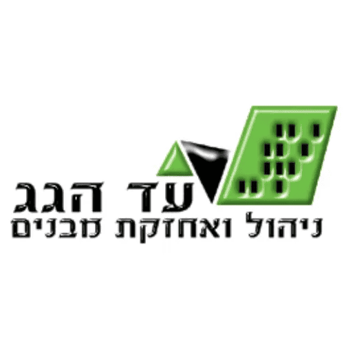 עד הגג